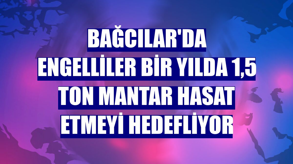 Bağcılar'da engelliler bir yılda 1,5 ton mantar hasat etmeyi hedefliyor