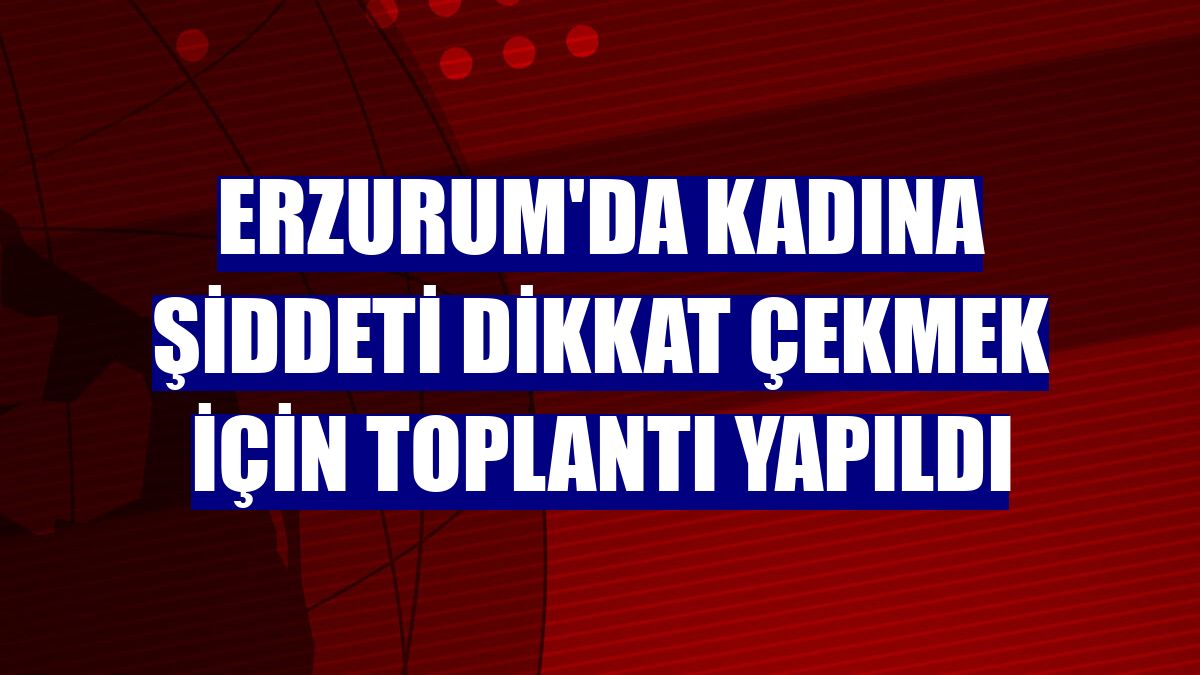 Erzurum'da kadına şiddeti dikkat çekmek için toplantı yapıldı