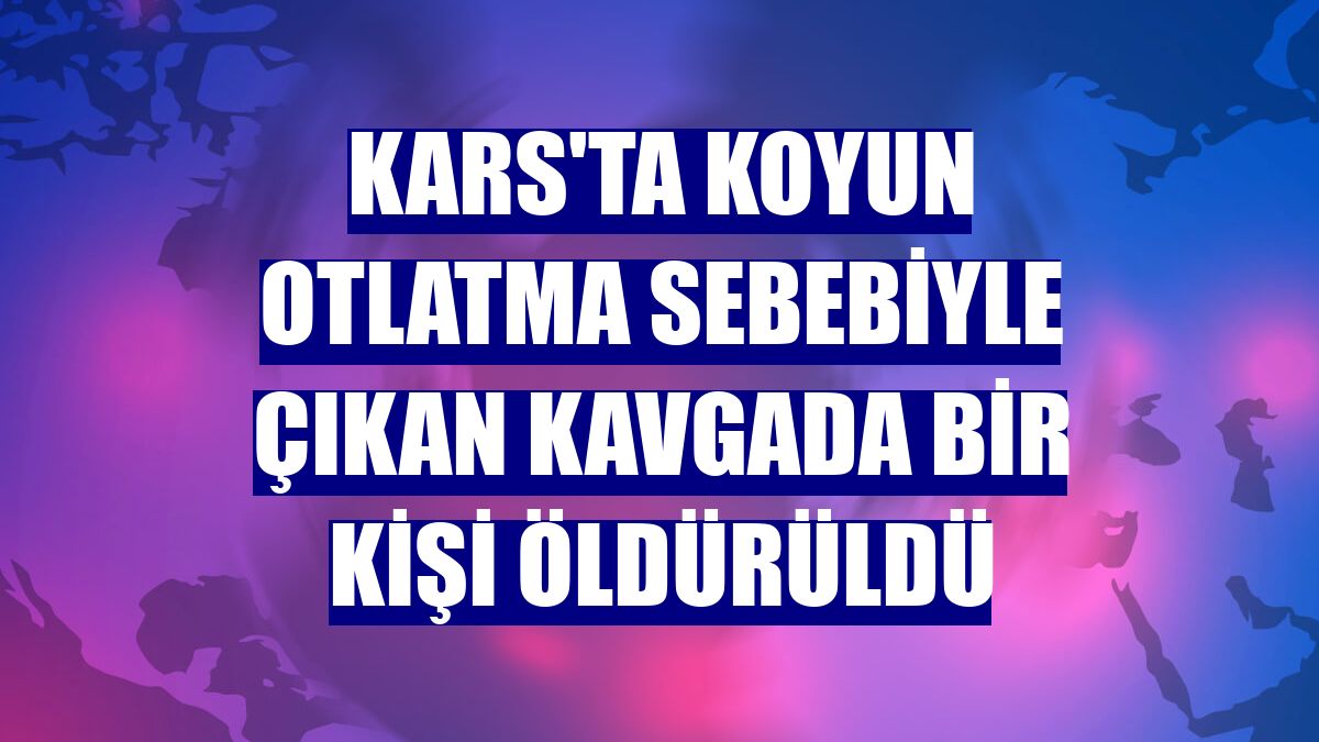 Kars'ta koyun otlatma sebebiyle çıkan kavgada bir kişi öldürüldü