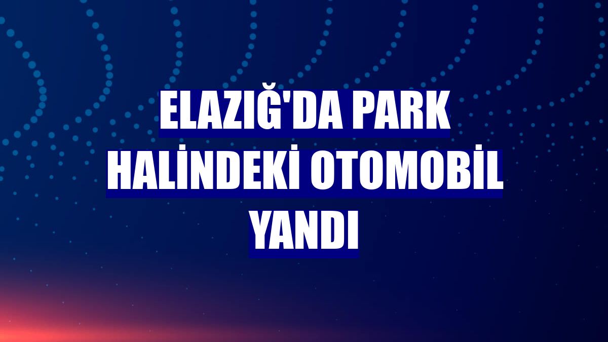 Elazığ'da park halindeki otomobil yandı