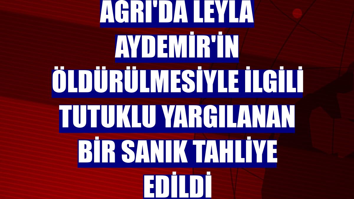 Ağrı'da Leyla Aydemir'in öldürülmesiyle ilgili tutuklu yargılanan bir sanık tahliye edildi