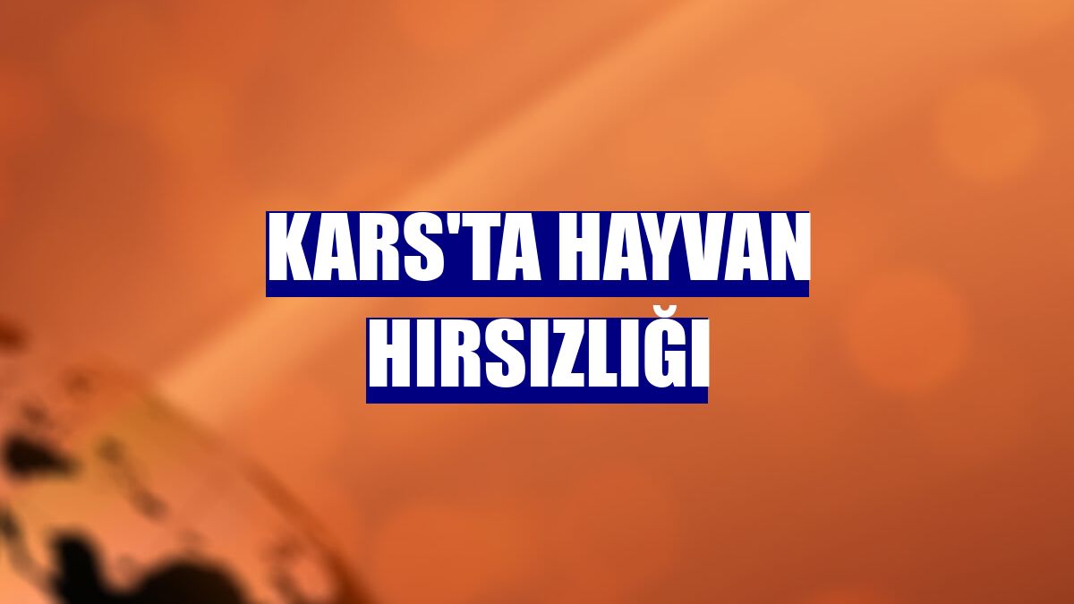 Kars'ta hayvan hırsızlığı
