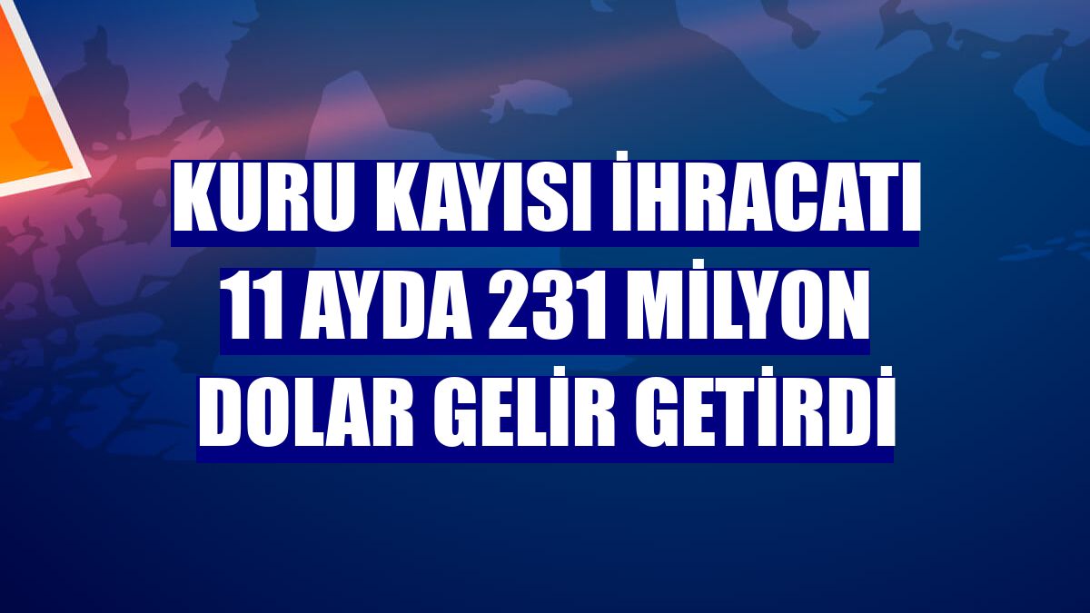 Kuru kayısı ihracatı 11 ayda 231 milyon dolar gelir getirdi