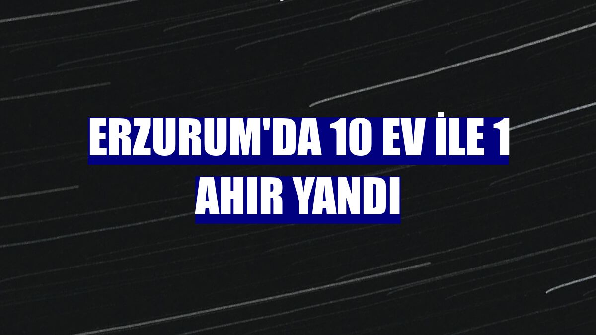 Erzurum'da 10 ev ile 1 ahır yandı
