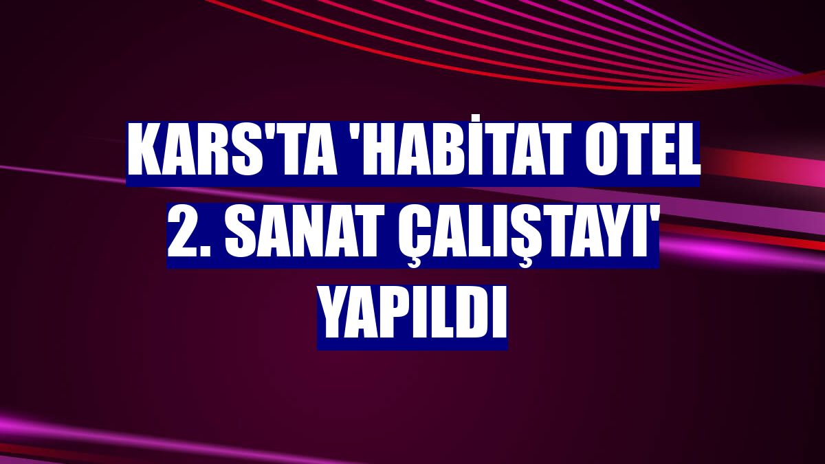 Kars'ta 'Habitat Otel 2. Sanat Çalıştayı' yapıldı