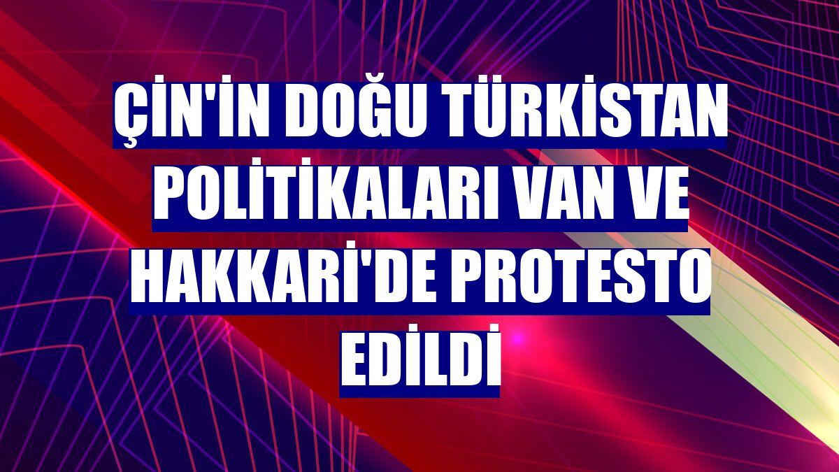 Çin'in Doğu Türkistan politikaları Van ve Hakkari'de protesto edildi