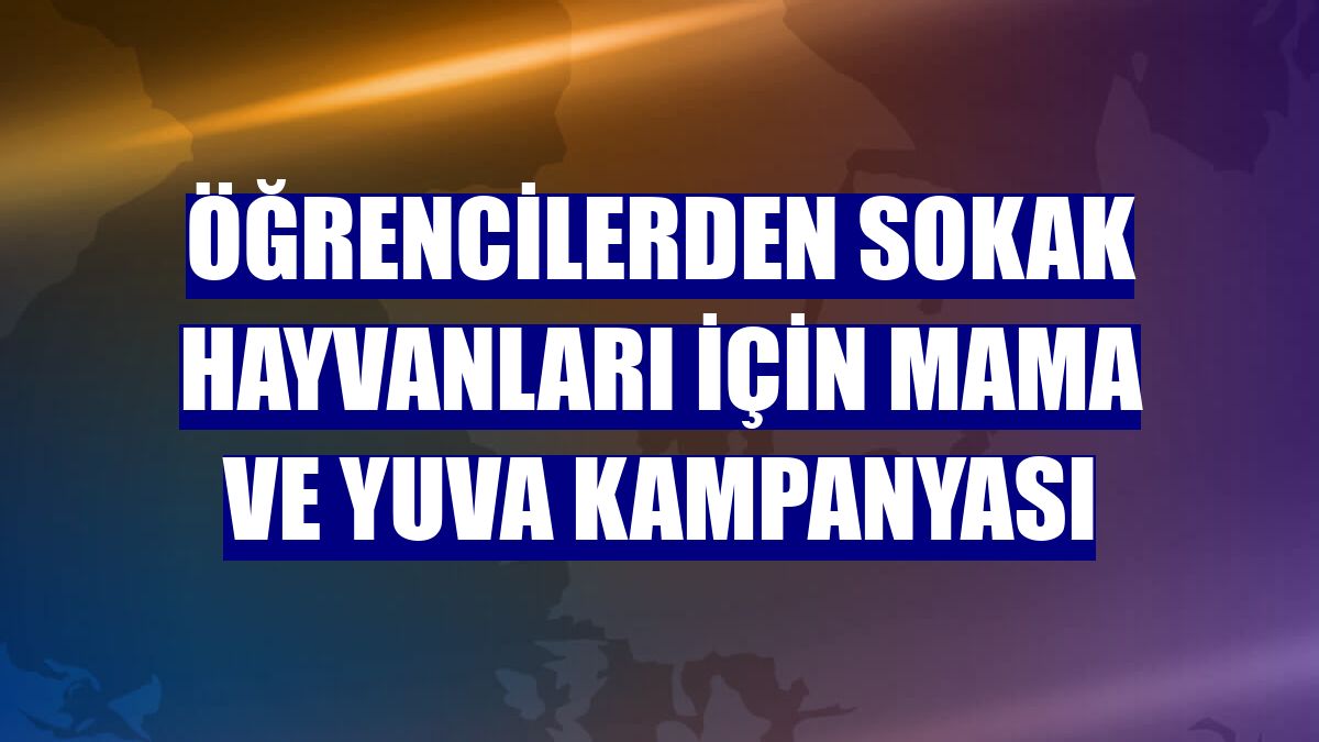 Öğrencilerden sokak hayvanları için mama ve yuva kampanyası