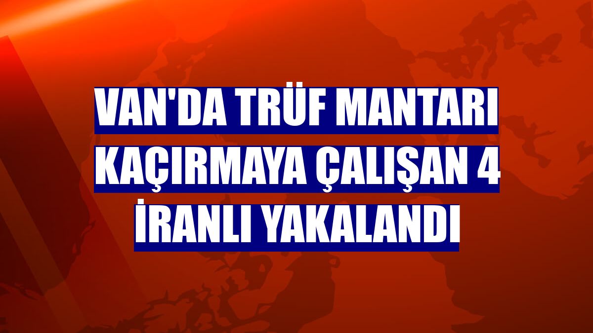 Van'da trüf mantarı kaçırmaya çalışan 4 İranlı yakalandı