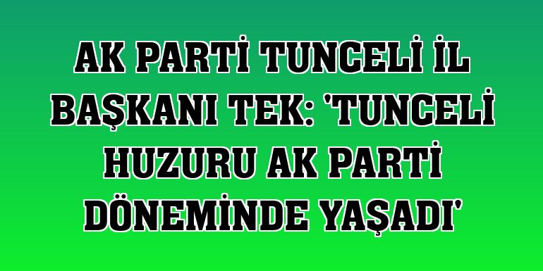 AK Parti Tunceli İl Başkanı Tek: 'Tunceli huzuru AK Parti döneminde yaşadı'