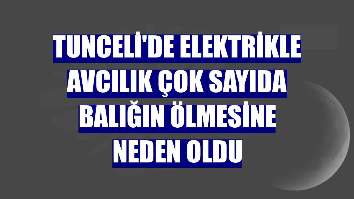 Tunceli'de elektrikle avcılık çok sayıda balığın ölmesine neden oldu
