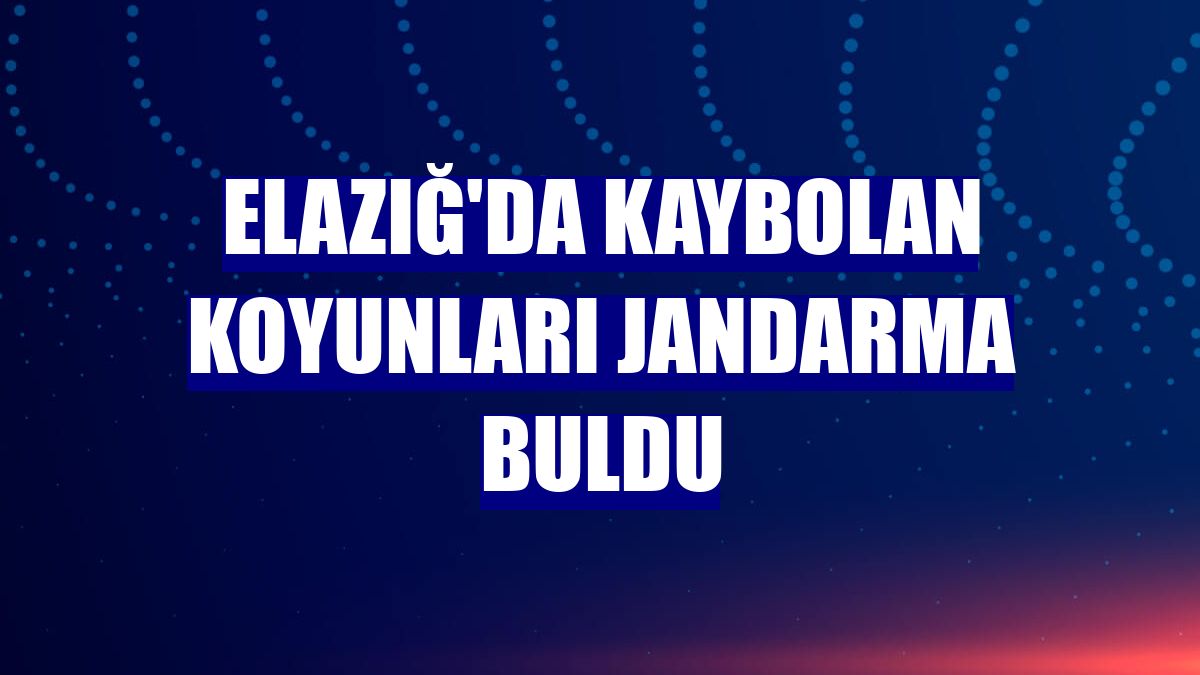 Elazığ'da kaybolan koyunları jandarma buldu