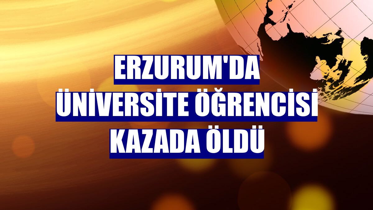 Erzurum'da üniversite öğrencisi kazada öldü