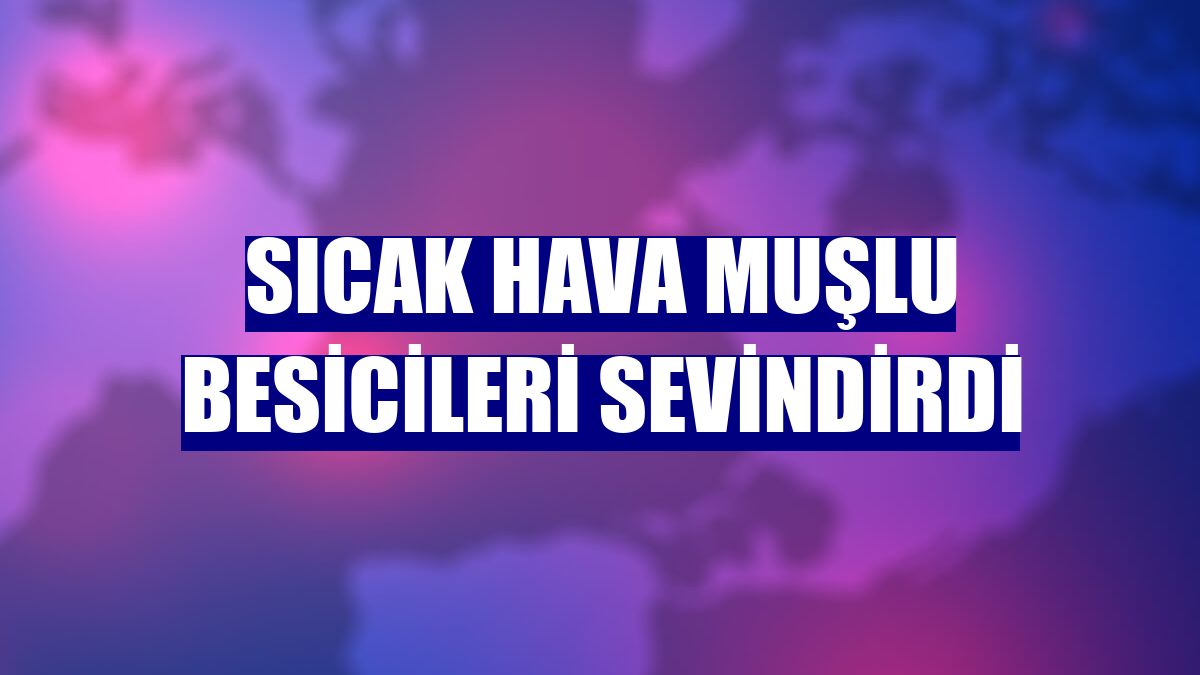 Sıcak hava Muşlu besicileri sevindirdi