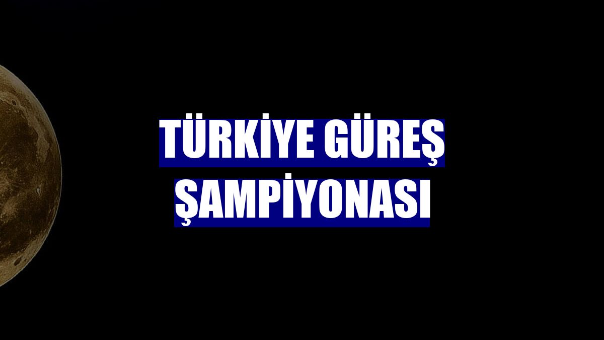 Türkiye Güreş Şampiyonası