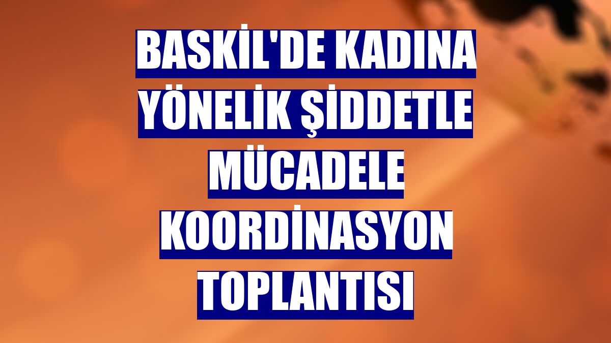Baskil'de Kadına Yönelik Şiddetle Mücadele Koordinasyon Toplantısı