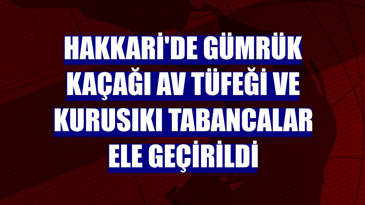 Hakkari'de gümrük kaçağı av tüfeği ve kurusıkı tabancalar ele geçirildi