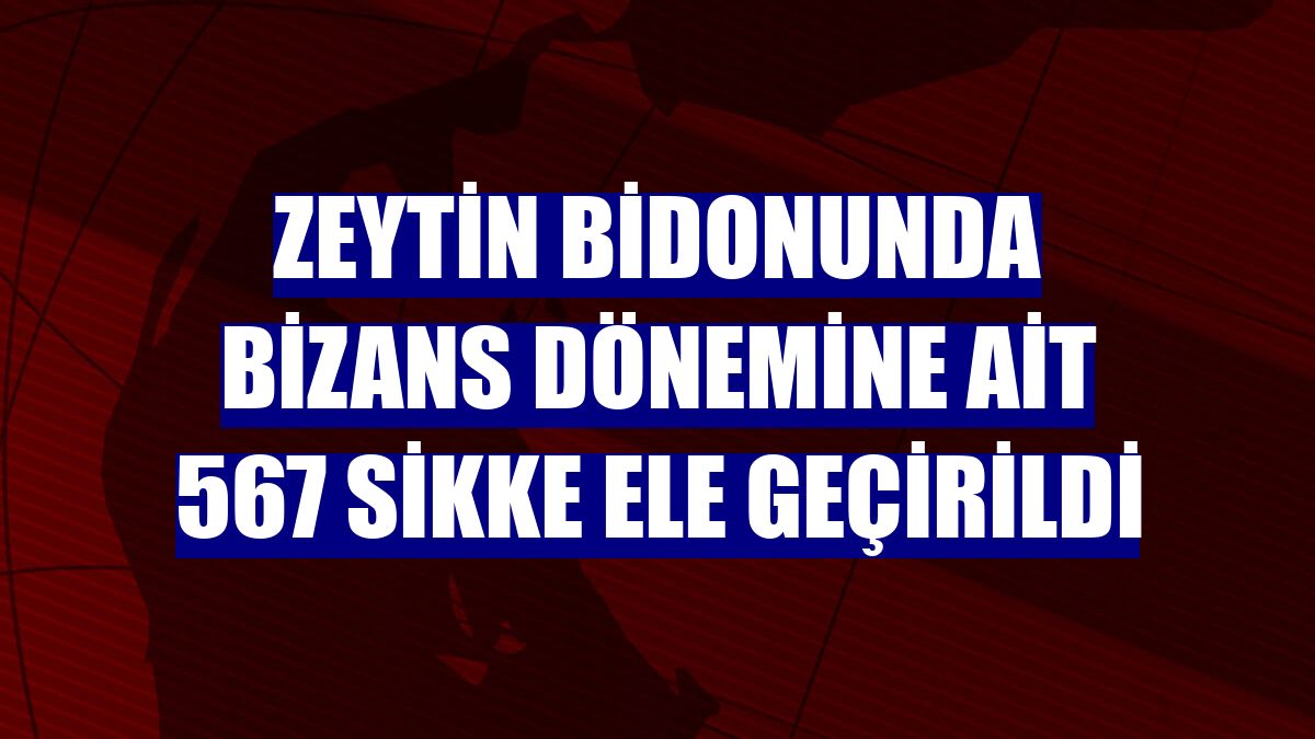Zeytin bidonunda Bizans dönemine ait 567 sikke ele geçirildi