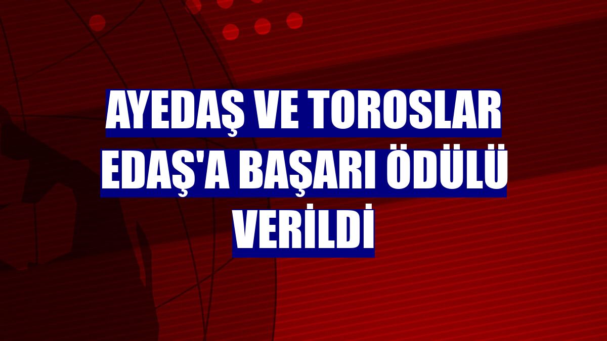 AYEDAŞ ve Toroslar EDAŞ'a başarı ödülü verildi