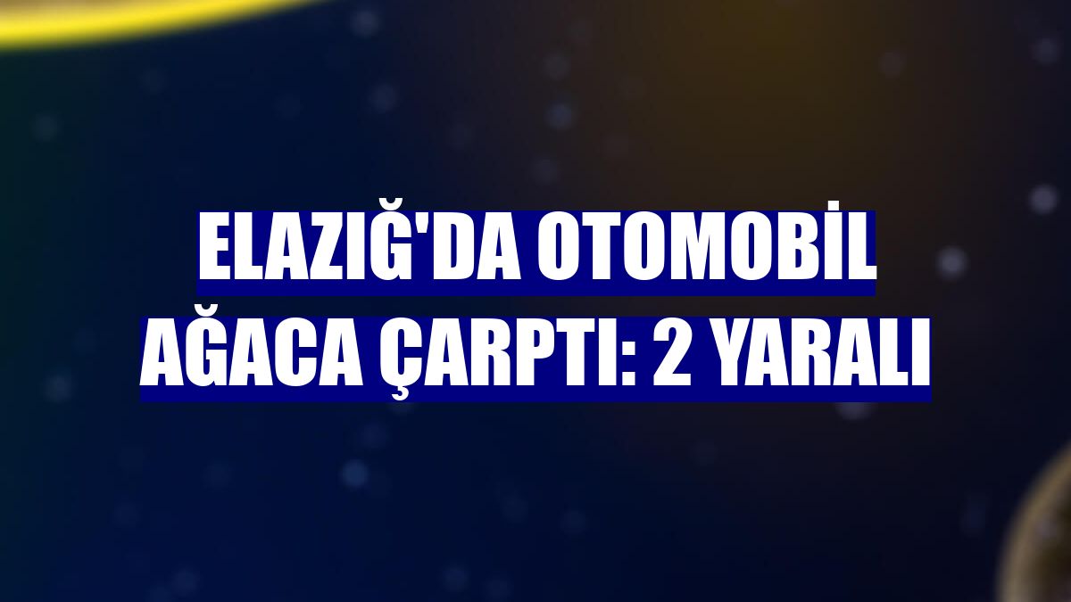Elazığ'da otomobil ağaca çarptı: 2 yaralı