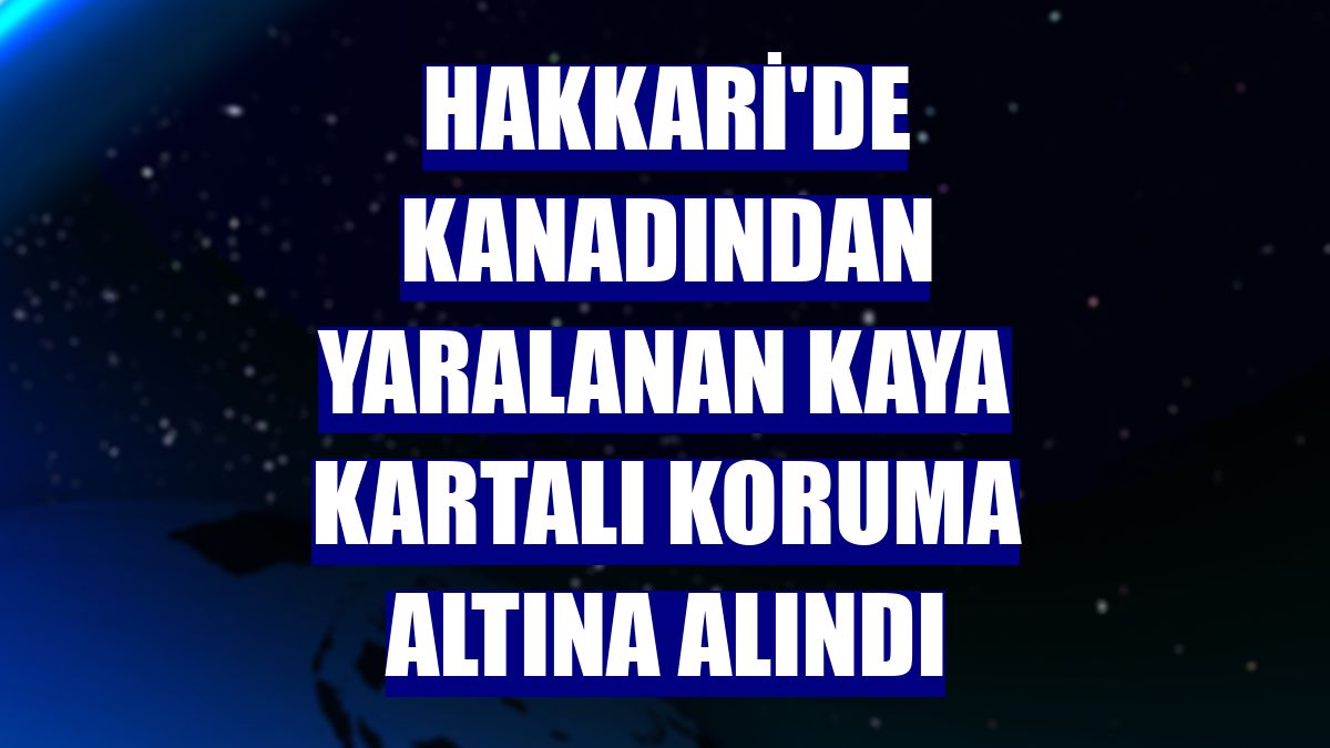 Hakkari'de kanadından yaralanan kaya kartalı koruma altına alındı