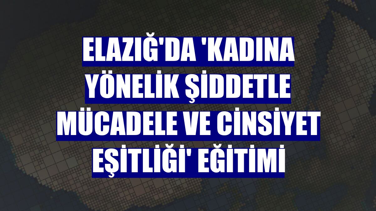 Elazığ'da 'Kadına yönelik şiddetle mücadele ve cinsiyet eşitliği' eğitimi