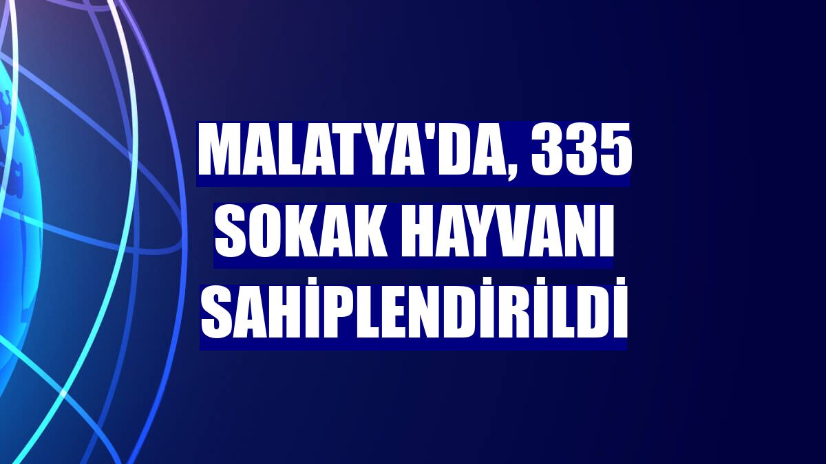 Malatya'da, 335 sokak hayvanı sahiplendirildi
