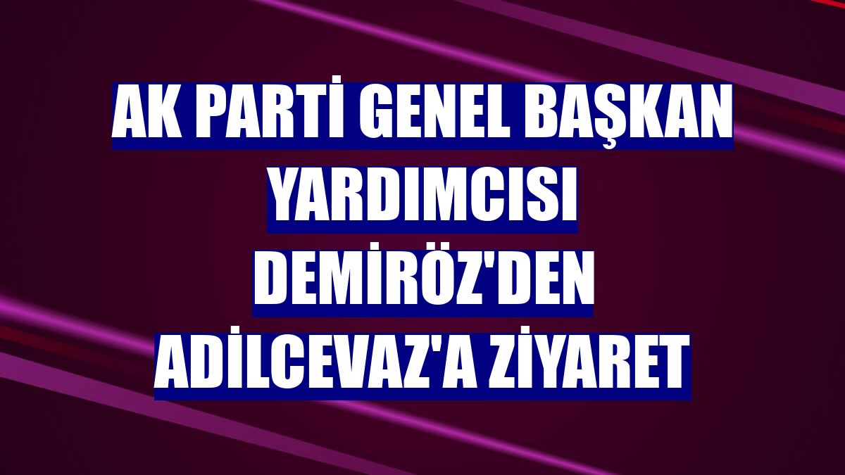 AK Parti Genel Başkan Yardımcısı Demiröz'den Adilcevaz'a ziyaret