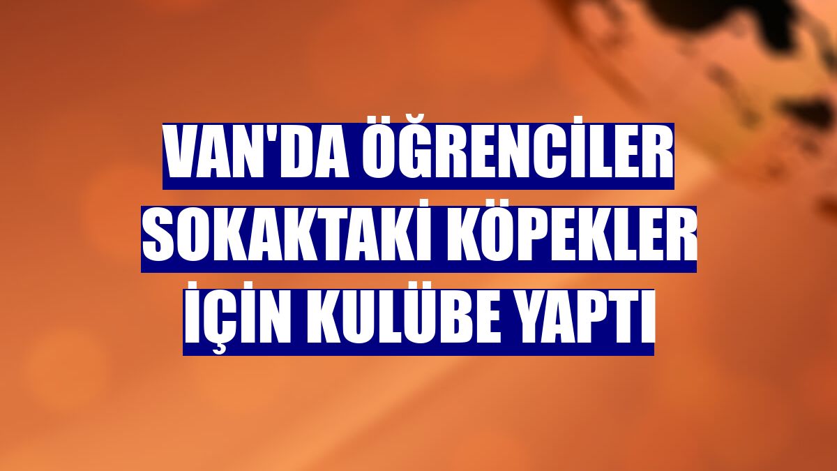 Van'da öğrenciler sokaktaki köpekler için kulübe yaptı