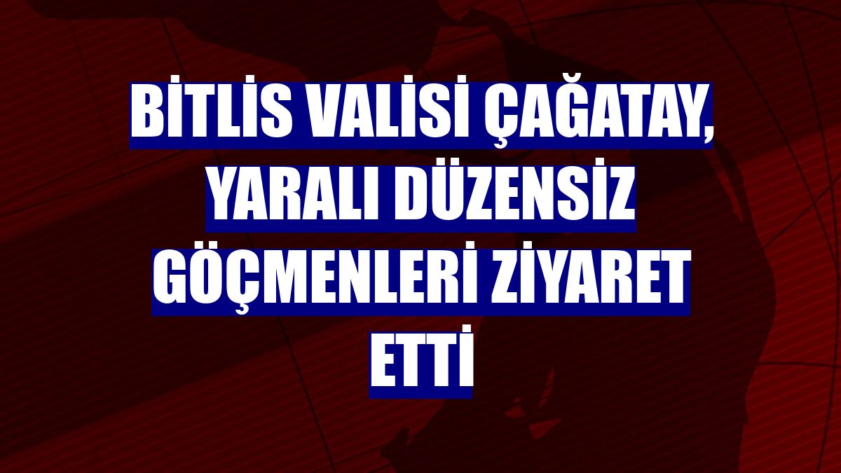Bitlis Valisi Çağatay, yaralı düzensiz göçmenleri ziyaret etti