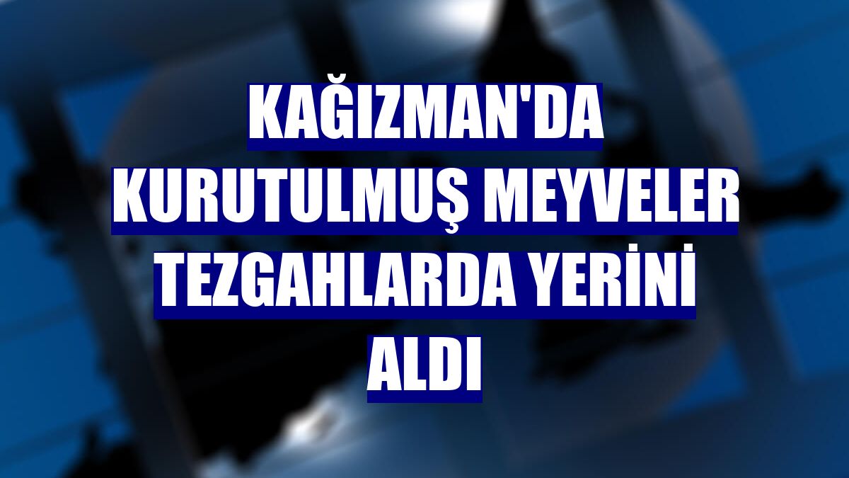Kağızman'da kurutulmuş meyveler tezgahlarda yerini aldı