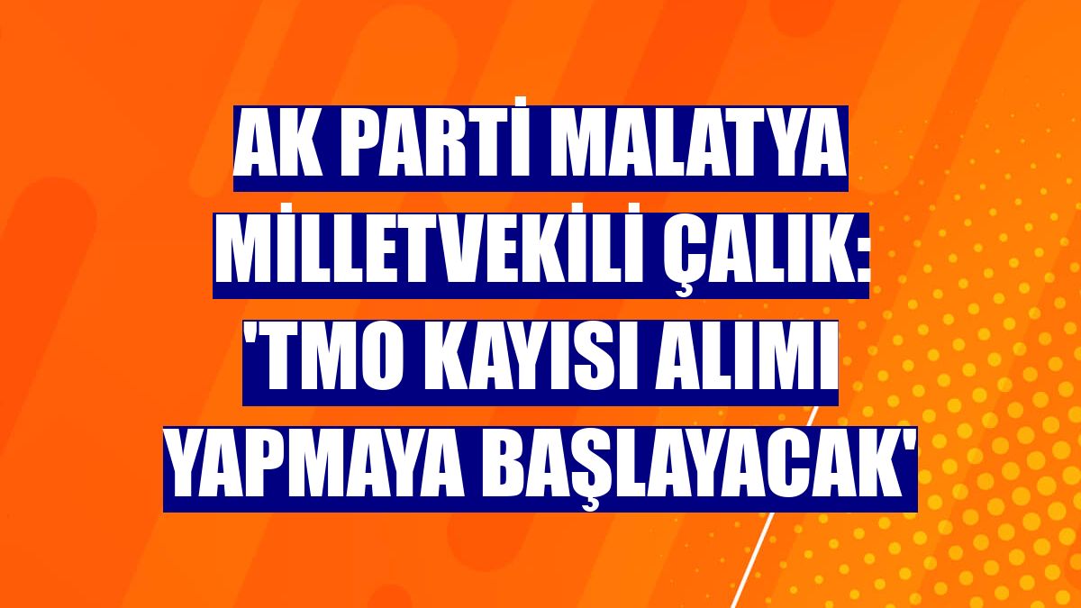 AK Parti Malatya Milletvekili Çalık: 'TMO kayısı alımı yapmaya başlayacak'