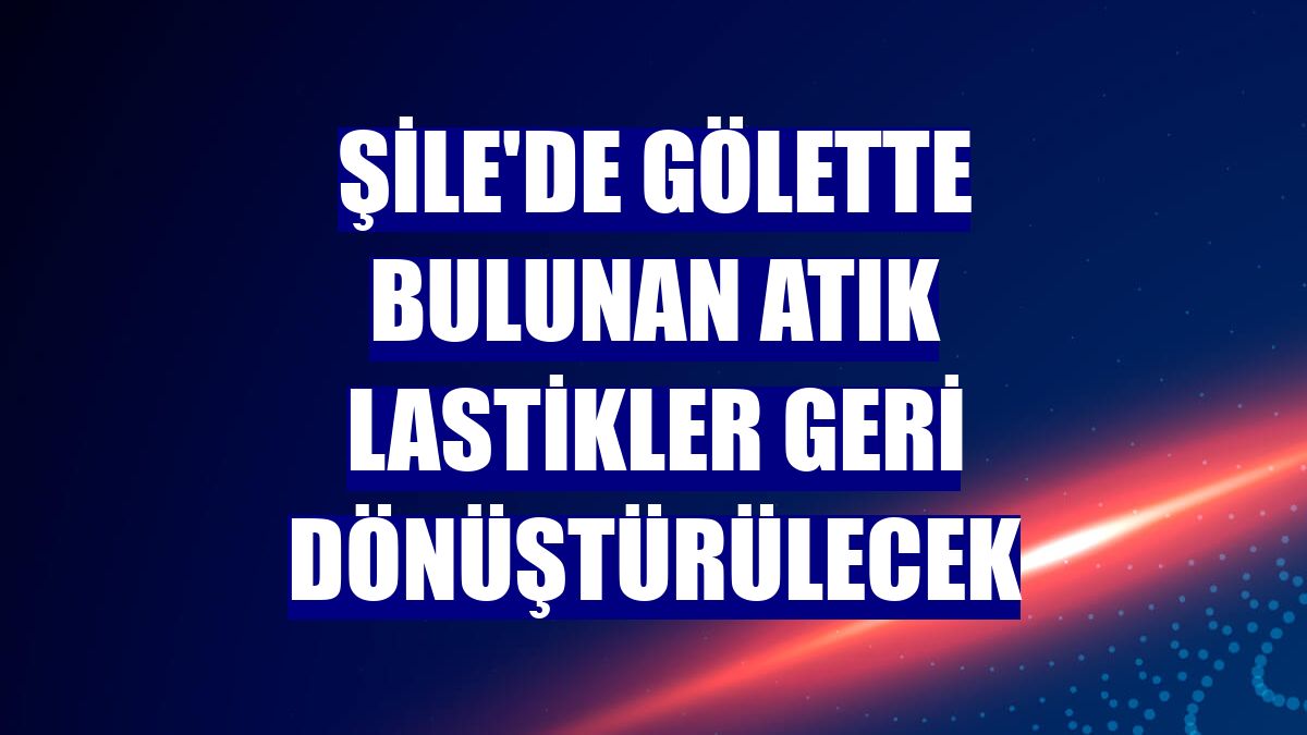 Şile'de gölette bulunan atık lastikler geri dönüştürülecek