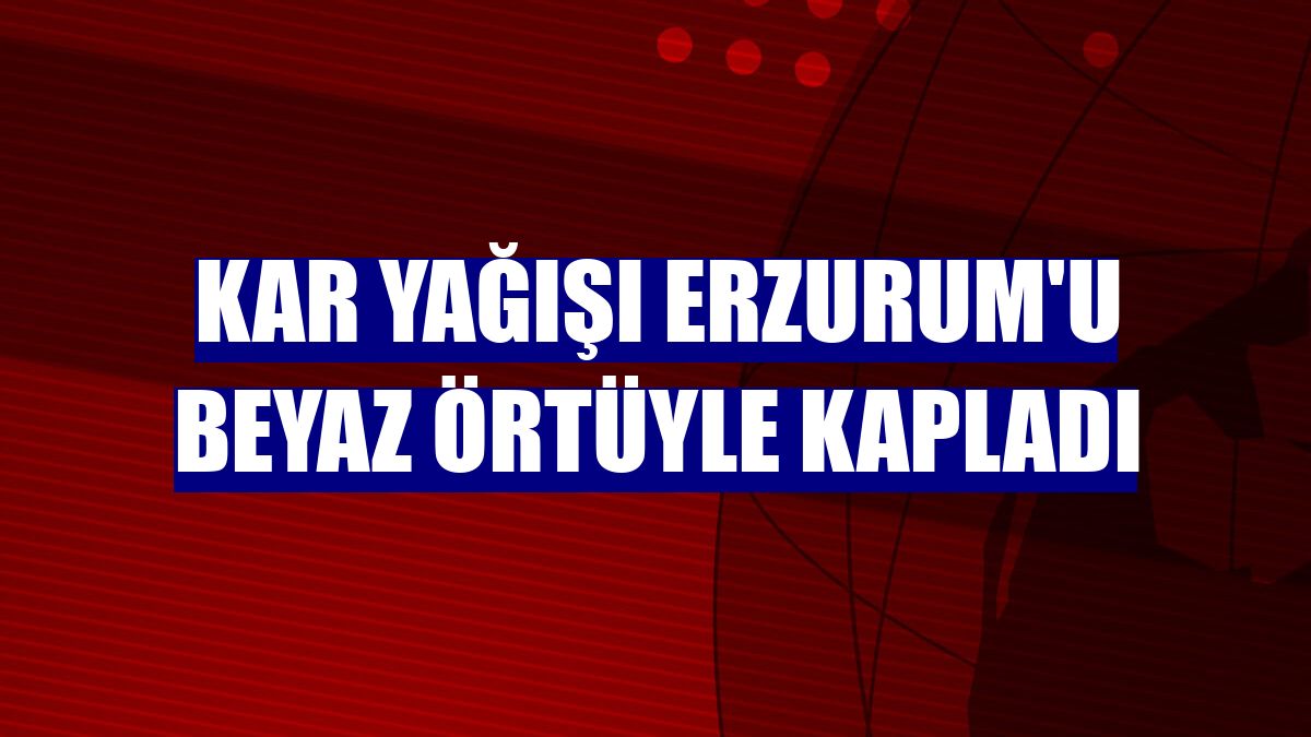 Kar yağışı Erzurum'u beyaz örtüyle kapladı