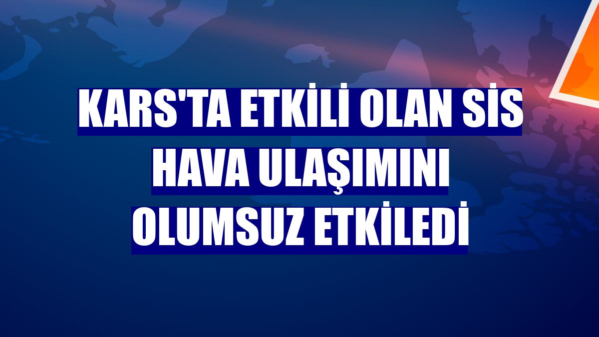 Kars'ta etkili olan sis hava ulaşımını olumsuz etkiledi