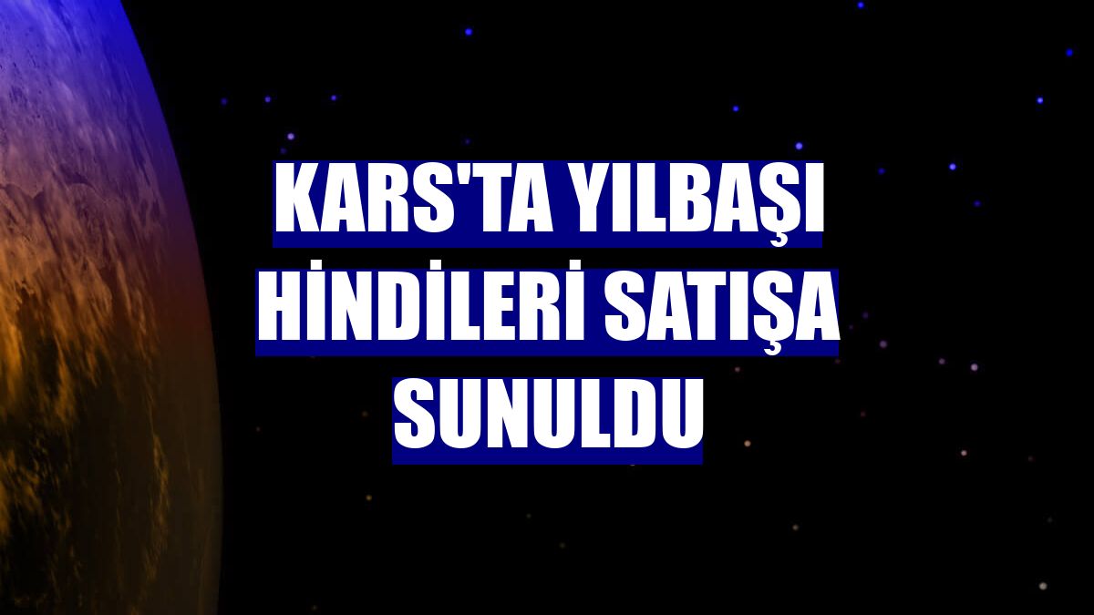 Kars'ta yılbaşı hindileri satışa sunuldu