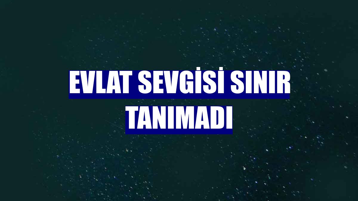 Evlat sevgisi sınır tanımadı