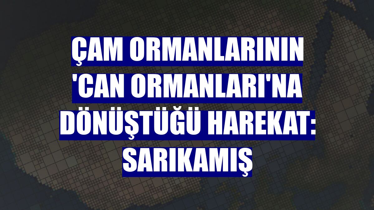 Çam ormanlarının 'can ormanları'na dönüştüğü harekat: Sarıkamış