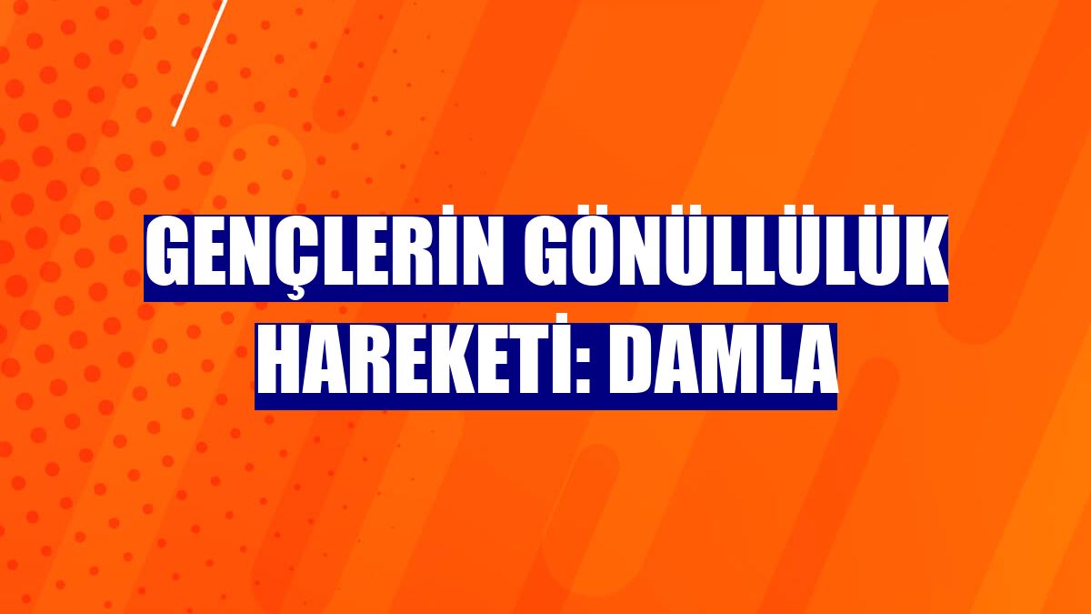 Gençlerin gönüllülük hareketi: Damla