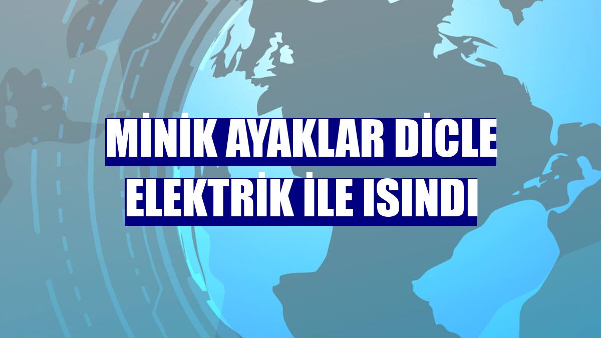 Minik ayaklar Dicle Elektrik ile ısındı