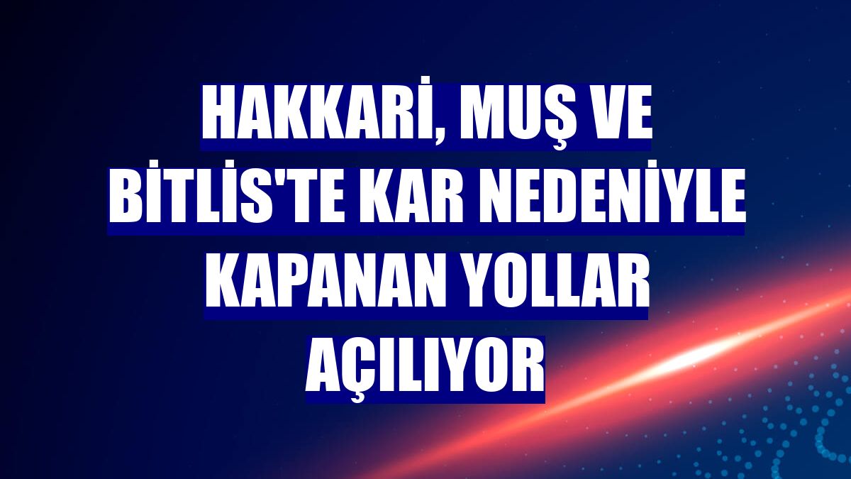 Hakkari, Muş ve Bitlis'te kar nedeniyle kapanan yollar açılıyor