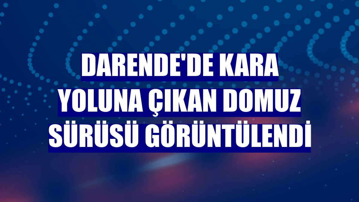Darende'de kara yoluna çıkan domuz sürüsü görüntülendi
