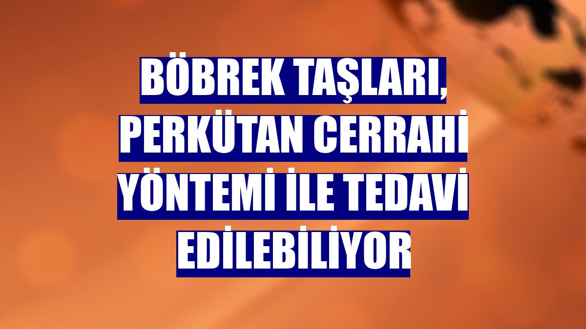Böbrek taşları, perkütan cerrahi yöntemi ile tedavi edilebiliyor