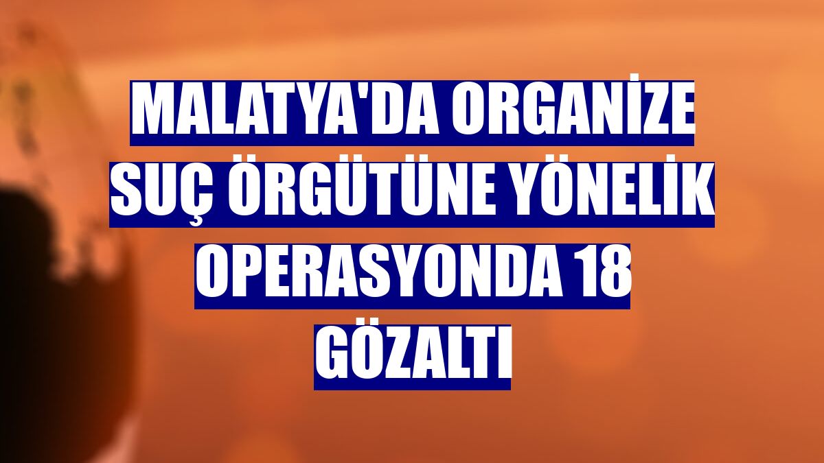 Malatya'da organize suç örgütüne yönelik operasyonda 18 gözaltı