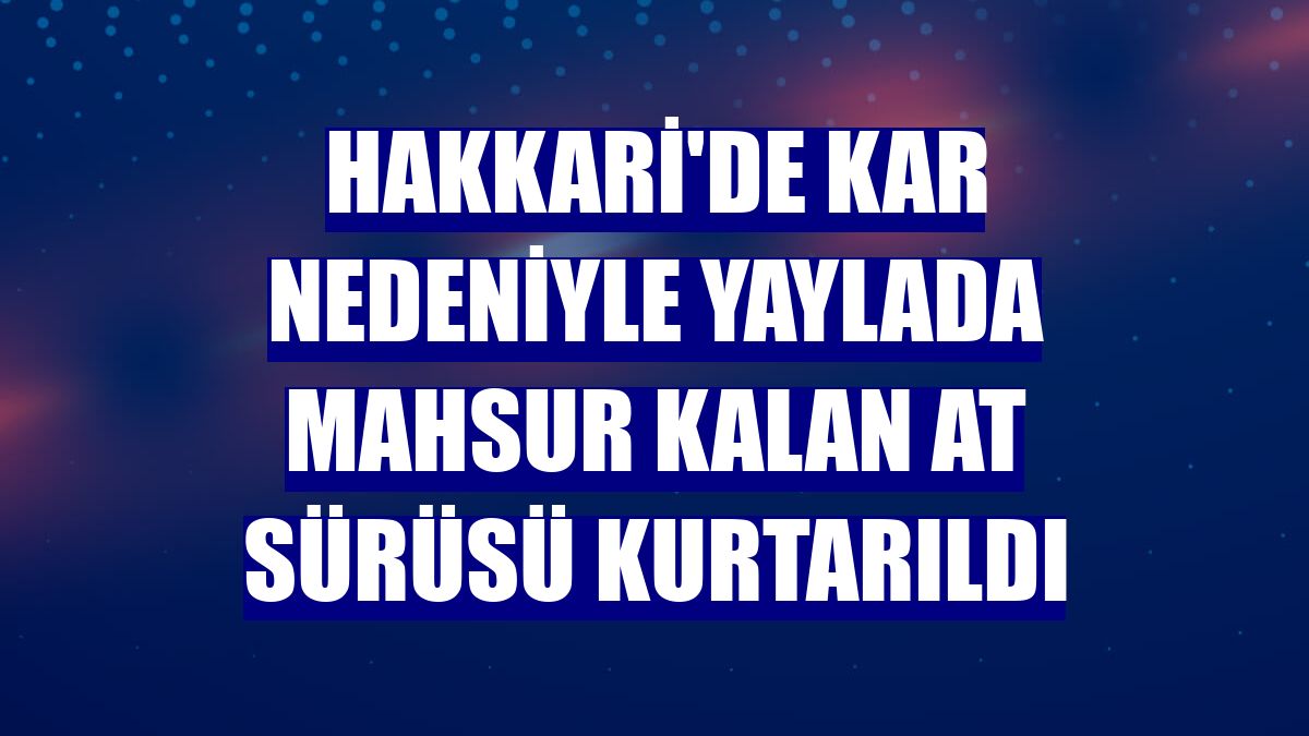 Hakkari'de kar nedeniyle yaylada mahsur kalan at sürüsü kurtarıldı