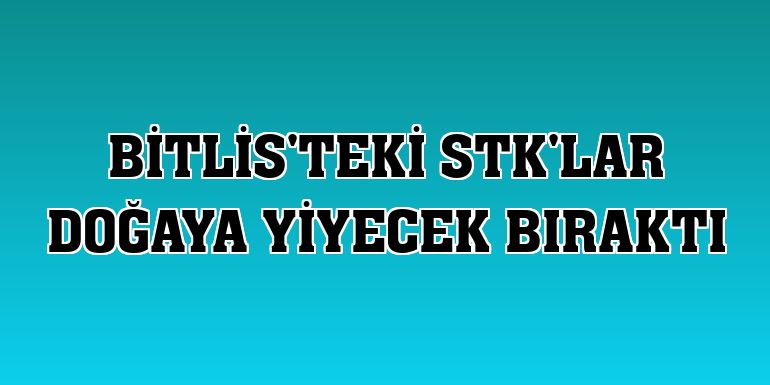 Bitlis'teki STK'lar doğaya yiyecek bıraktı