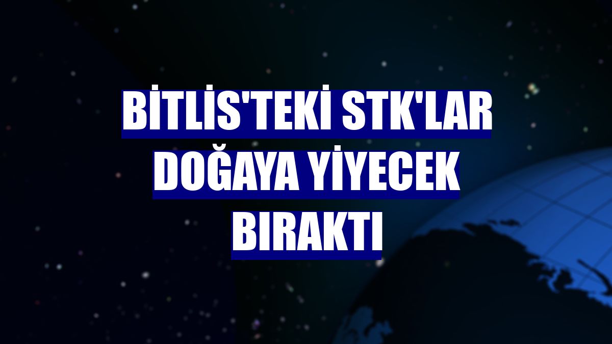 Bitlis'teki STK'lar doğaya yiyecek bıraktı