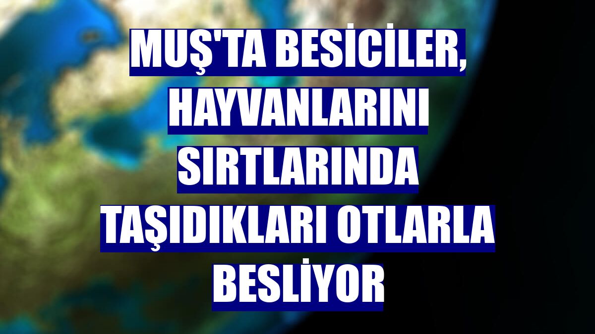 Muş'ta besiciler, hayvanlarını sırtlarında taşıdıkları otlarla besliyor