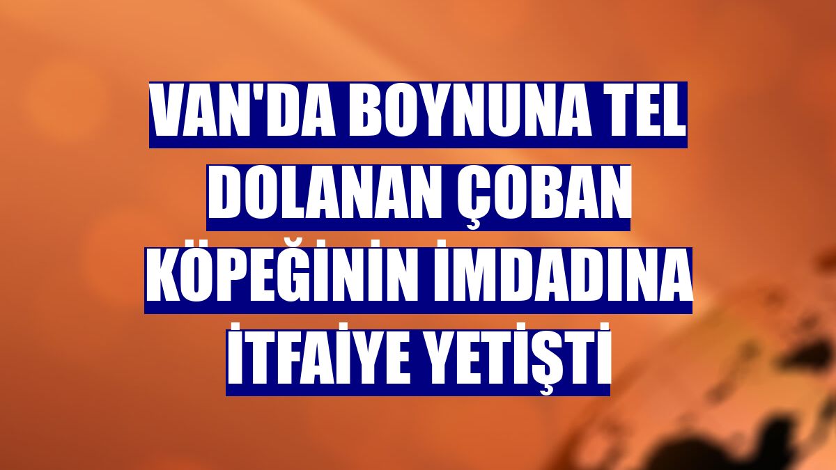 Van'da boynuna tel dolanan çoban köpeğinin imdadına itfaiye yetişti