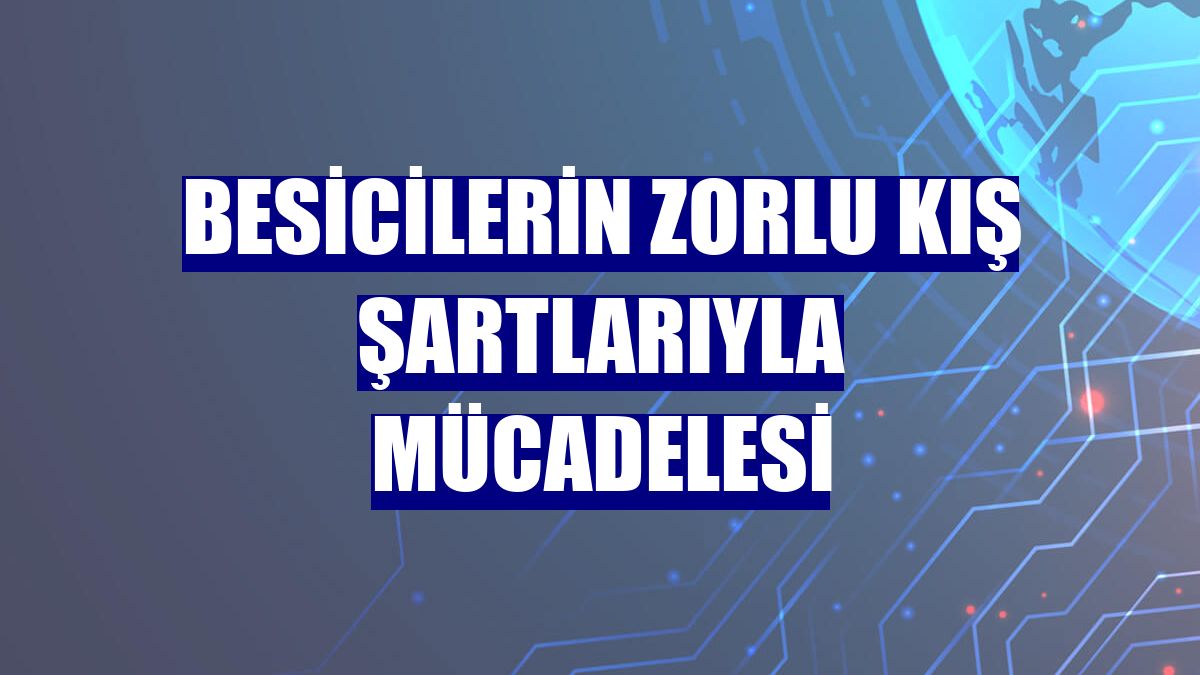 Besicilerin zorlu kış şartlarıyla mücadelesi