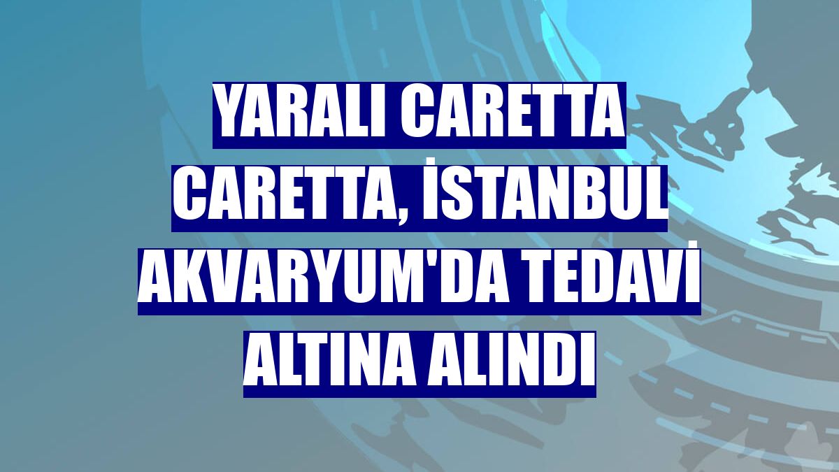 Yaralı caretta caretta, İstanbul Akvaryum'da tedavi altına alındı
